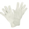 Cotton Canvas Glove.jpeg Cotton Canvas Glove.jpeg