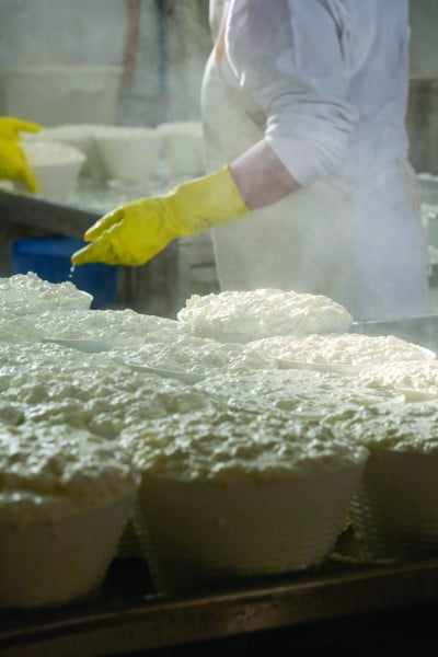 Light Fit™ Latex Reusable Glove Flocklined9.jpeg Light Fit™ Latex Reusable Glove Flocklined9.jpeg